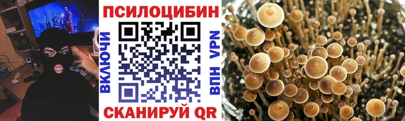 Галлюциногенные грибы Psilocybe  кракен ONION  Губкин  цена наркотик 